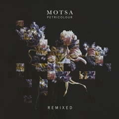MOTSA - Petricolour Remixed - CLIPS [PTRCLR 002]