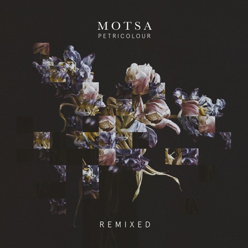 MOTSA - Petricolour Remixed - CLIPS [PTRCLR 002]