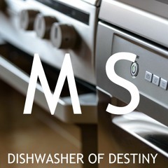 Dishwasher Of Destiny