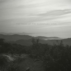 Marc Atmost Pres. Atmeo - Paleocontact