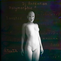 Polymorphic & Dj Antention - Banshee