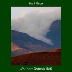 Hani Niroo - شب بود (Detmolt Edit)