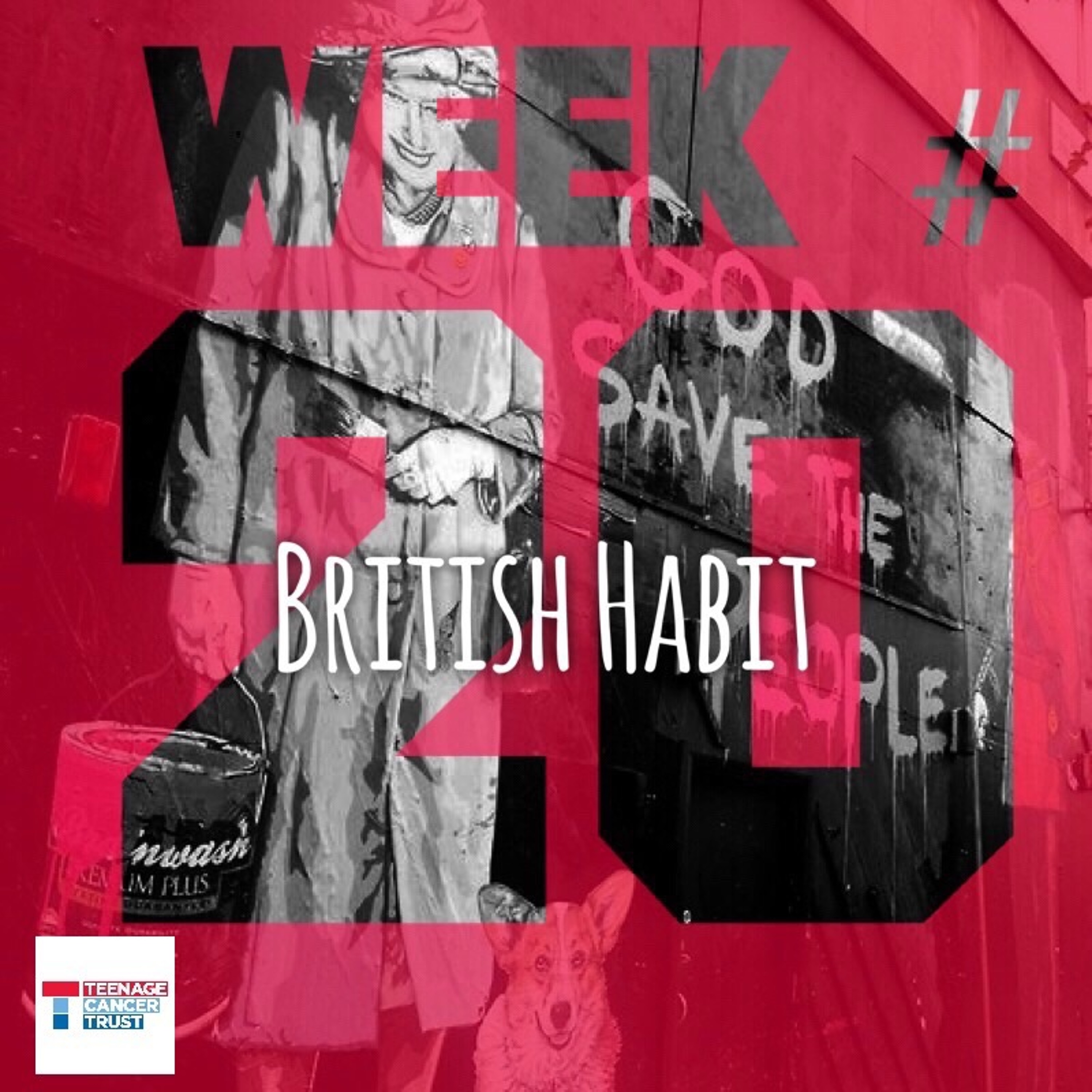 British Habit episode artwork