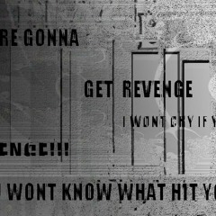 REVENGE BLACK FLAG REMIX - LUBBER