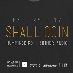 Hummingbird - Supporting Set for Shall Ocin at Spybar - 24 Mar 2017