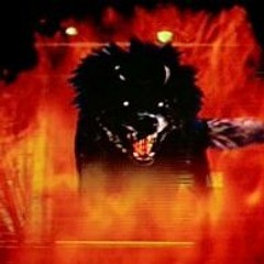 The Reverse Ft German Shepherd