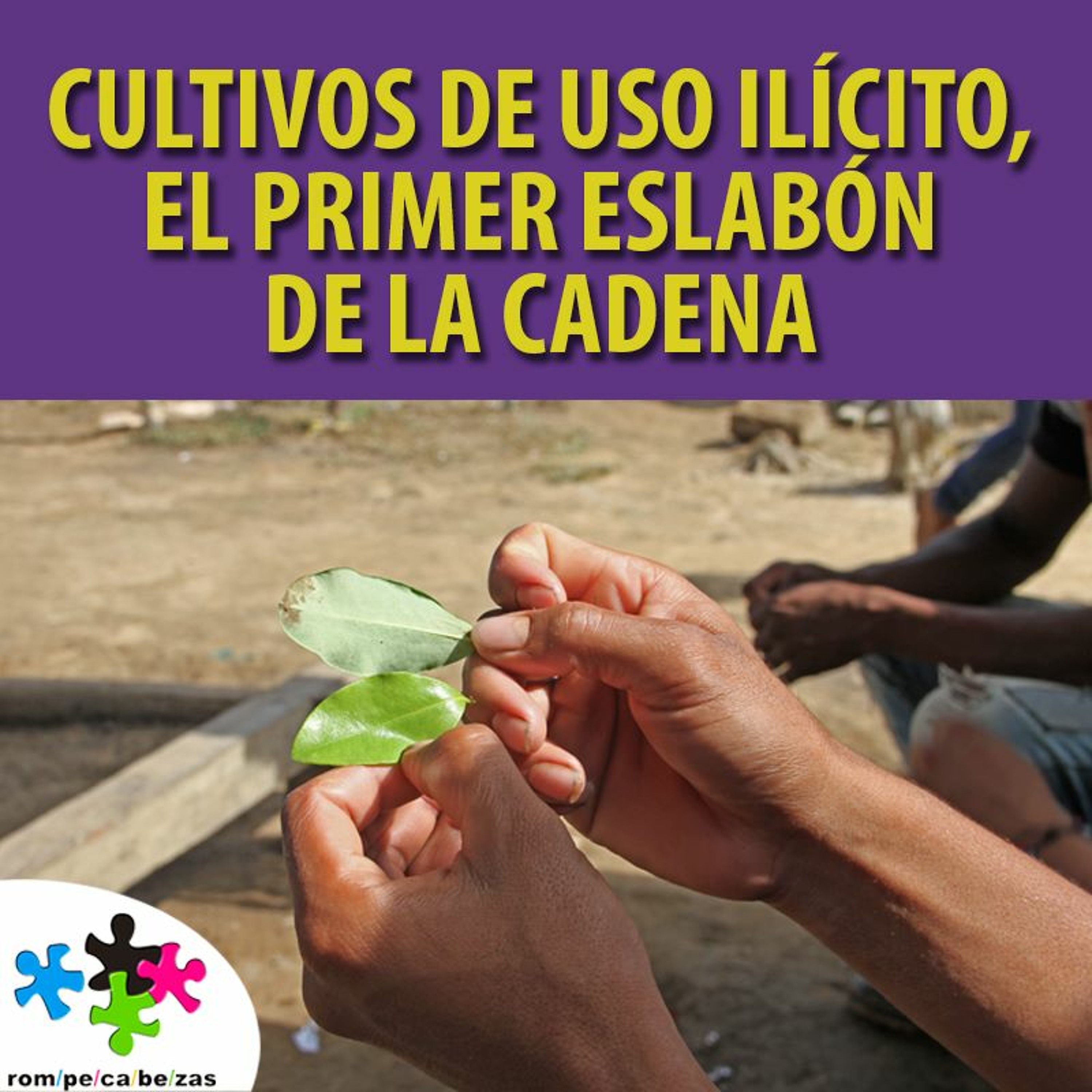 Cultivos de uso ilícito, el primer eslabón de la cadena episode artwork