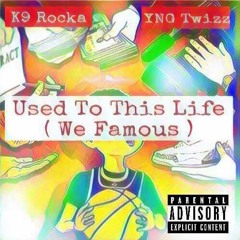 We Famous (Feat. YNG Twizz & MGlizzy)