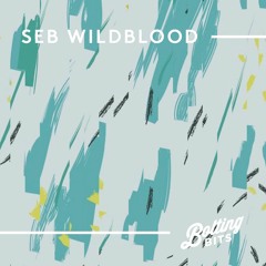 MIXED BY/ Seb Wildblood