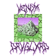 $UICIDEBOY$ - VENOM (FEAT. SHAKEWELL DRVGLXRD C&S)