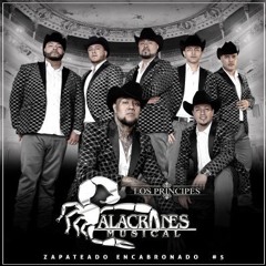 Alacranes Musical-Zapateado Encabronado #5 🎶🦂
