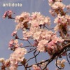 Antidote Mp3
