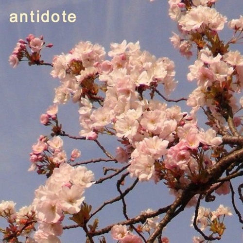 antidote