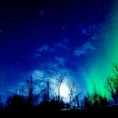 Aurora Boreal - Nico Camhi