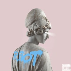 THE RIOT MIX II