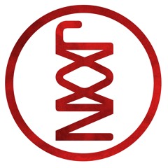 Light It Up (feat. Camo)