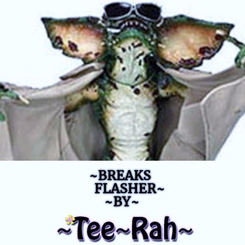 ~BREAKS FLASHER~BY~Tee~Rah~