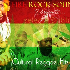Cultural Reggae Hitz Vol.16 - selecta Dubfire