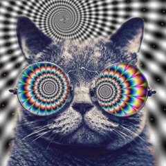 Trippy Cat 2017 MINIMAL HOUSE ELECTRO [ Coronita 2017 Minimal After Megamix ]