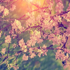 Relaxing Flute Music for Stress Relief, Healing, Meditation, Yoga, Massage, Spa