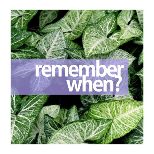 Remember When [Radio Edit]