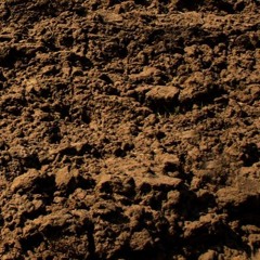 REC. | Brown in the Dirt - Steve McQueen