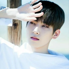 Seventeen - Crazy in Love