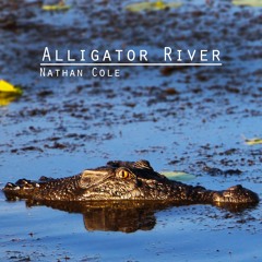 Alligator River