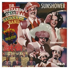 Sunshower 2017 Rework