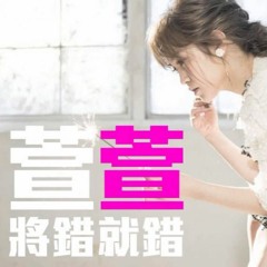 DJ紹齊 - 將錯就錯2o17 【全中文慢搖EDM】150BPM
