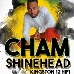 BUTTAHFLY FX live show CHAM, SHINEHEAD, KGN12 HI-FI, DJ JAQUES