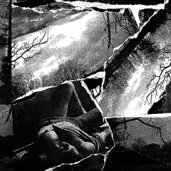 Harness - Regulated Disposal