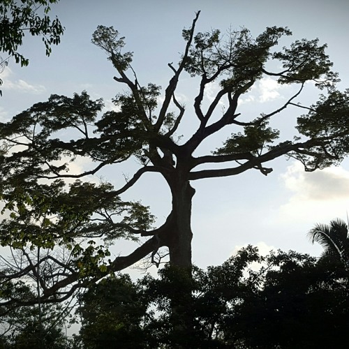 Transition of Power.