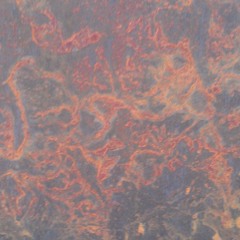 Sunset Too Soon Featuring Mesh