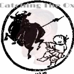 Catching The Ox By Dhal - Sim
