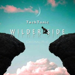 TechTonic-Wilder Side(Original_Mix)