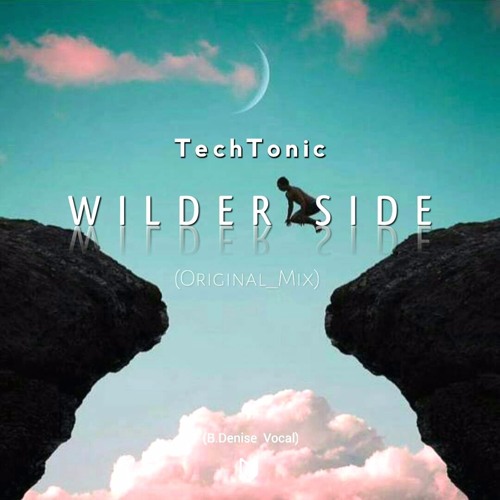 TechTonic-Wilder Side(Original_Mix)
