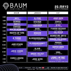 Seb Mildenberg - Baum Festival 2017