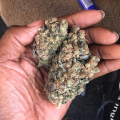 Trapland Pat - Thrax (FAST)