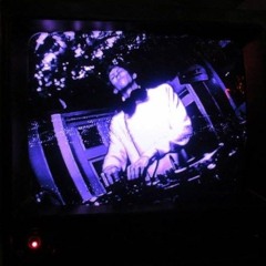 Saturday night at Wonky's House - Rabbits Eat Lettuce