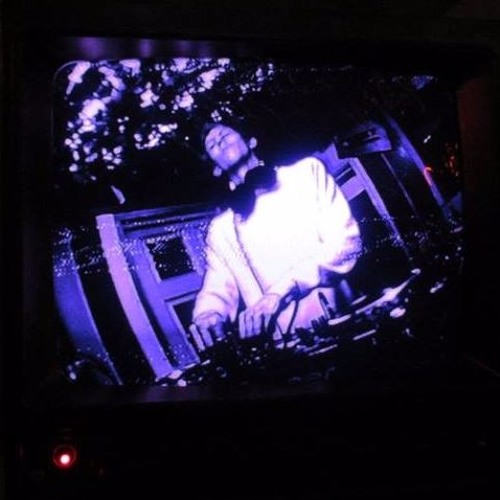 Saturday night at Wonky's House - Rabbits Eat Lettuce