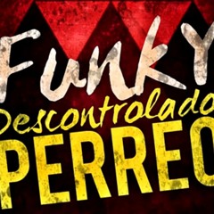 FUNKY PERREO - DJ PLAGA (REMIX 2017)