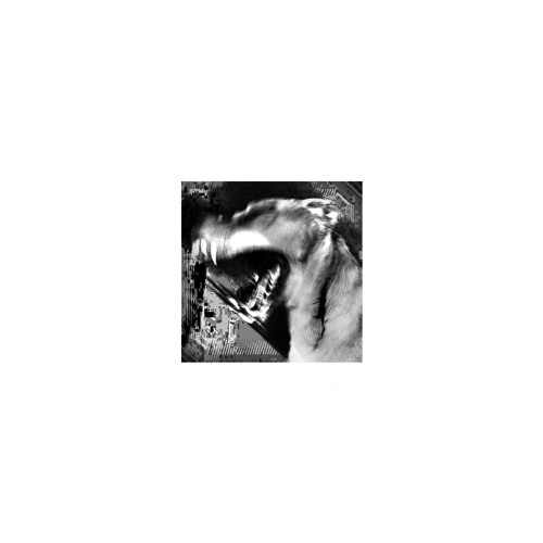 New Day w/ Oktiv [Free Download]