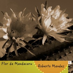 Flor de Mandacaru ( Roberto Mendes )