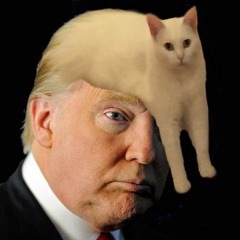 EDMonster_7.0