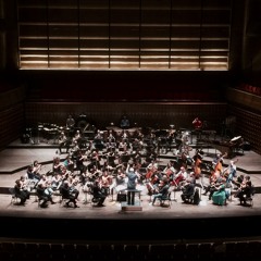 The Edge Of A Breathing Mountain (live in Queen Elisabeth Hall, Antwerp, 2016)