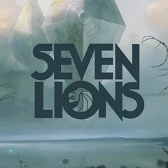 Seven Lions Middlelands 17