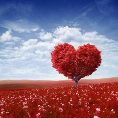 Heartbeat 4