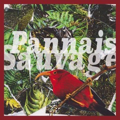 Pannais Sauvage