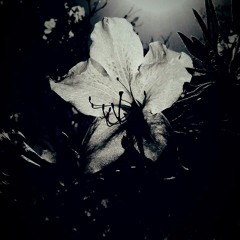 Sacred Unknown